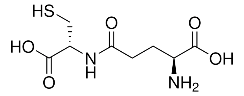γ-Glu-Cys - G0903-100MG