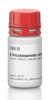β-Nicotinamide adenine dinucleotide hydrate - N7004-1G