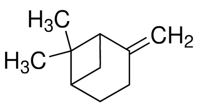 β-Pinene - PHL89335-100MG