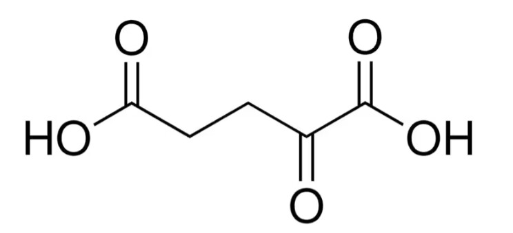 α-Ketoglutaric acid - 75890-25G