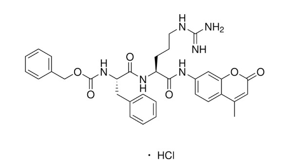 Z-Phe-Arg 7-amido-4-methylcoumarin hydrochloride - 25MG