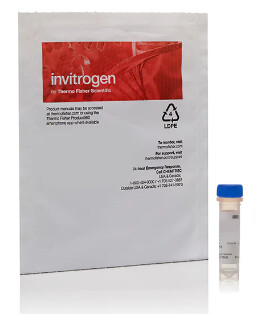 Invitrogen™ BODIPY™ 581/591 C11 (Lipid Peroxidation Sensor) - D3861