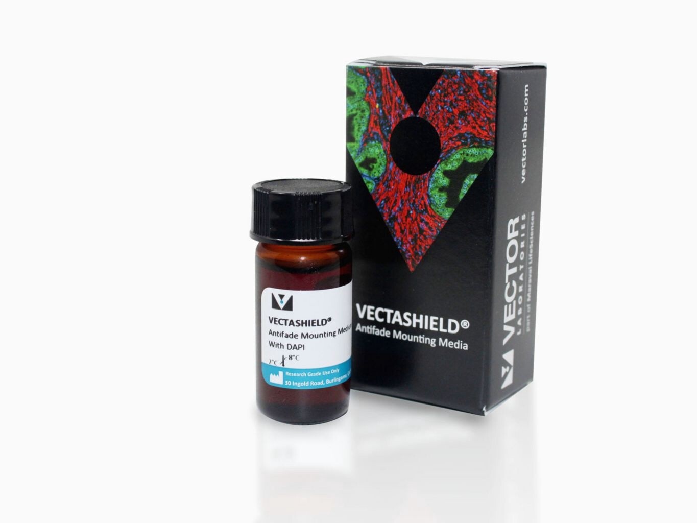 Vectashield Antifade Mounting Medium with DAPI - 10ml - H-1200-10