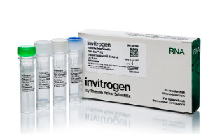 DNA-free™ DNA Removal Kit- 50 reactions - AM1906