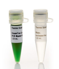DreamTaq Green PCR Master Mix (2X) - 1000 rxns - K1082