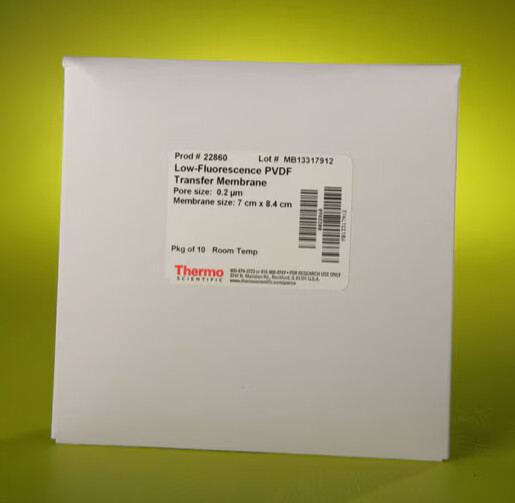PVDF Transfer Membranes, 0.2 μm-10 Precut Membranes
