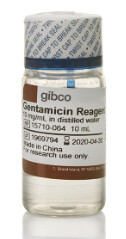 Gentamicin (10 mg/mL)- 15710064