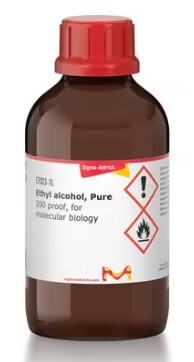 Ethyl alcohol, Pure - 500ml - E7023-500ML