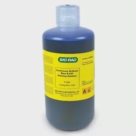 Coomassie Brilliant Blue R-250 Staining Solution 1610436