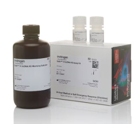 Qubit™ 1X dsDNA High Sensitivity (HS) and Broad Range (BR) Assay Kits - 500 reactions - Q33231
