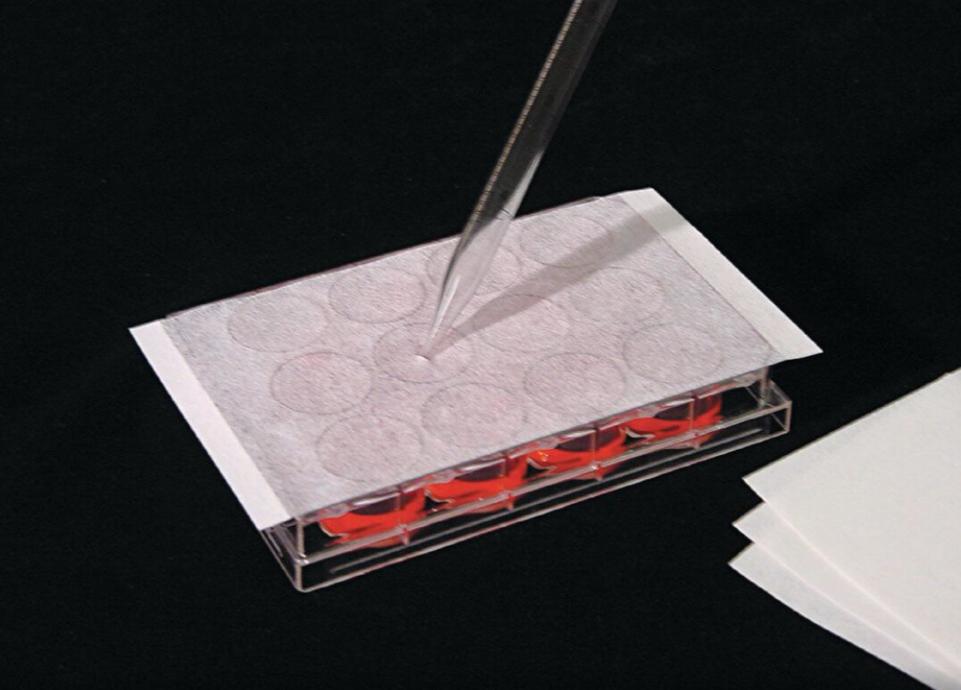 AeraSeal™ Sealing Films for Cell and Tissue Culture, Excel Scientific, Sterile - 140um - PK of 50 - 490007-322