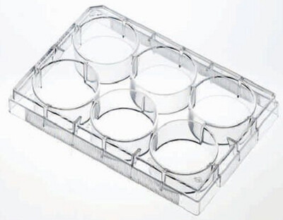 Cell Culture Plates Treated for Increased Cell Attachment, Sterile - CS of 100 - 48 well, Flat Bottom, Clear - .19-.29cm^2