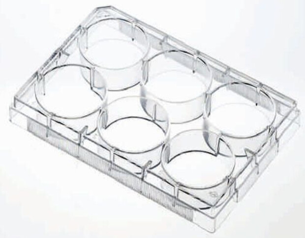 Cell Culture Plates Treated for Increased Cell Attachment, Sterile - CS of 100 - 48 well, Flat Bottom, Clear - .19-.29cm^2