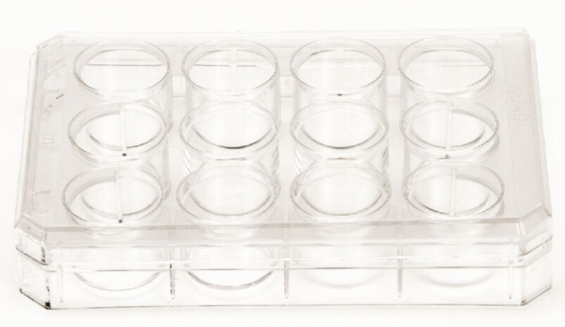 CONS5162 12-well Tissue Culture plate, Flat bottom