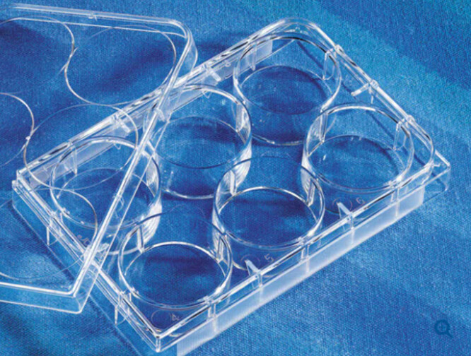 Corning™ Costar™ Ultra-Low Attachment Microplates - 6well, Sterile, Individually Wrapped, Clear/CS of 24 - 3471/07-200-601