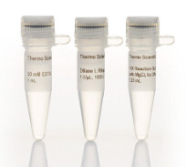 DNase I, RNase-free (1 U/μL) - 1,000 units -  EN0521
