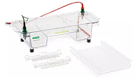 Sub-Cell GT Horizontal Electrophoresis System, 15 x 25 cm tray - 1704404