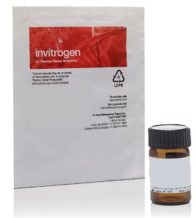 Invitrogen™ BODIPY™ 493/503 (4,4-Difluoro-1,3,5,7,8-Pentamethyl-4-Bora-3a,4a-Diaza-s-Indacene) - D3922