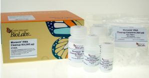 Monarch® RNA Cleanup Kit (500 μg) - 100 preps - T2050L