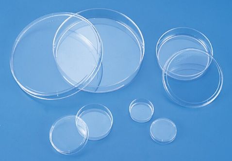 Corning® CellBIND® surface culture dishes - cs of 40 - CLS3296