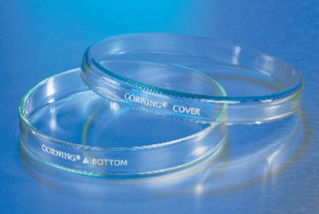 150x20mm Glass Petri Dish