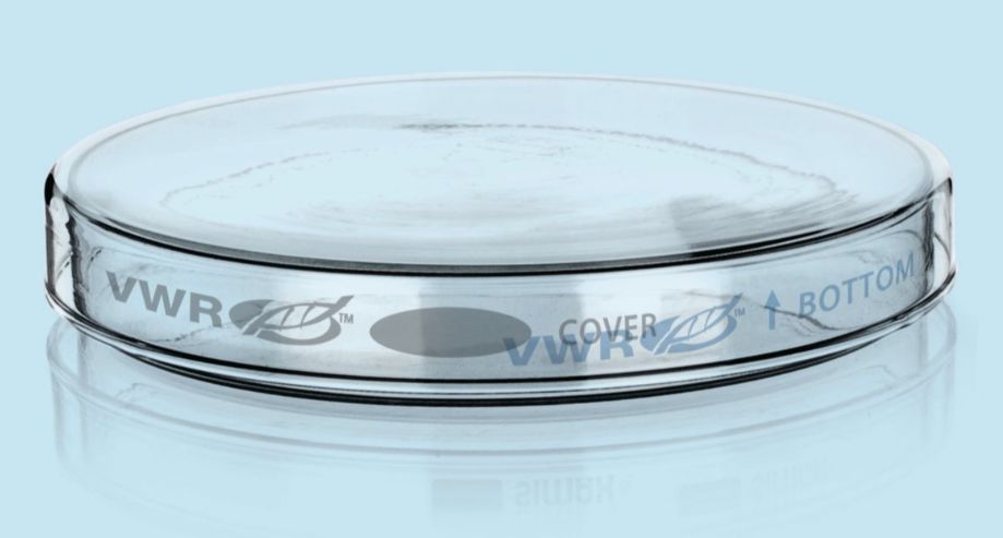 60x15mm Glass Petri Dish Single