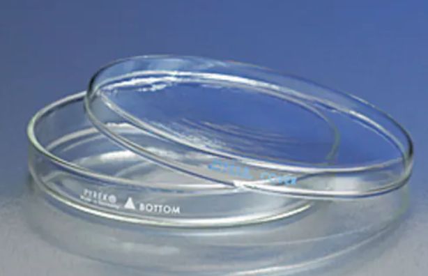 Reusable Petri Dishes: Covers Only - 08-749F - cs of 12