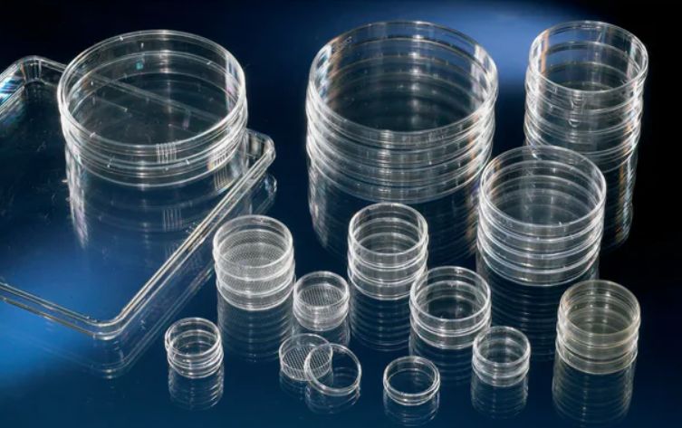 Nunc™ Cell Culture/Petri Dishes 60x15mm Dish, Nunclon™ Delta