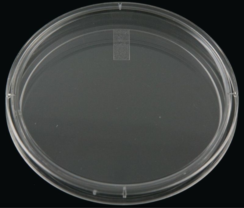 Petri Dish - 35x10MM - CS of 500