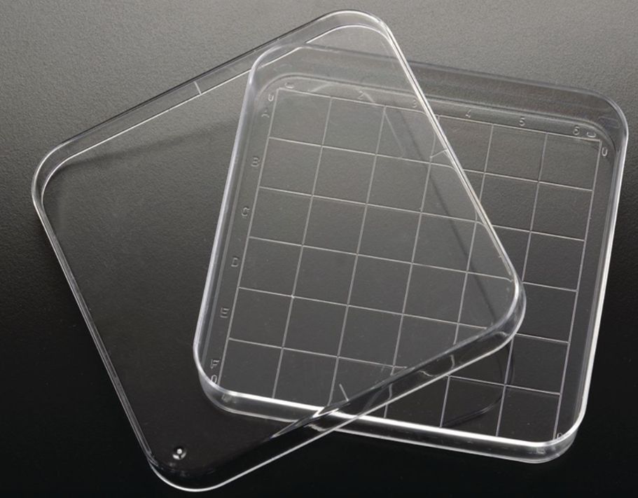 Square Petri Dish with Grid, 110mL, 90x15mm - 60872-310 - CS of 500