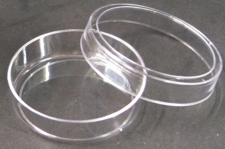 Sterile Polystyrene Petri Dish - 60x15mm - CS of 500 - AS4052