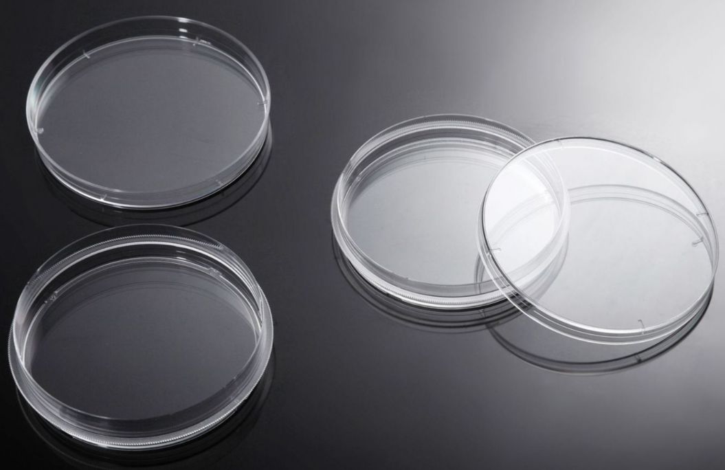 VWR® Cell Culture Dishes Treated for Increased Cell Attachment, Sterile10861-680 - CS OF 240