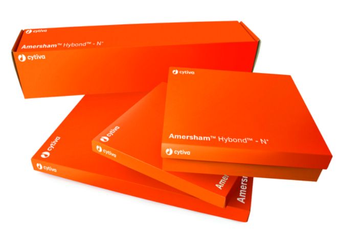 Amersham Hybond-N+, 30 cm x 3 - 1 Roll - RPN303B