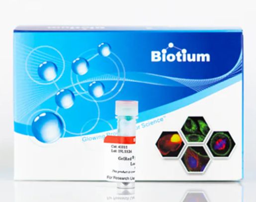 Biotium GelRed Prestain Plus 6X DNA Loading Dye, 1mL - NC1712532