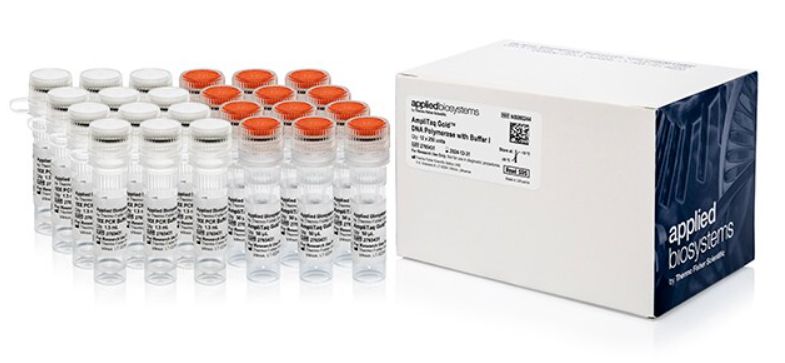 AmpliTaq Gold™ DNA Polymerase with Buffer I