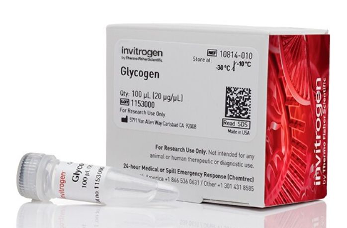 Glycogen 100ul