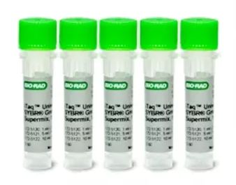iTaq™ Universal SYBR® Green Supermix, 500 x 20 µl rxns, 5 ml (5 x 1 ml)  - 1725121