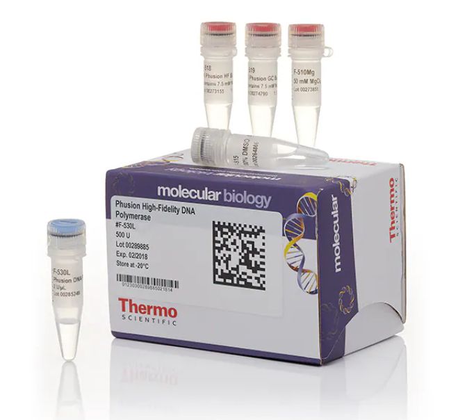 Phusion™ High-Fidelity DNA Polymerase (2 U/µL) - 500units - F530L