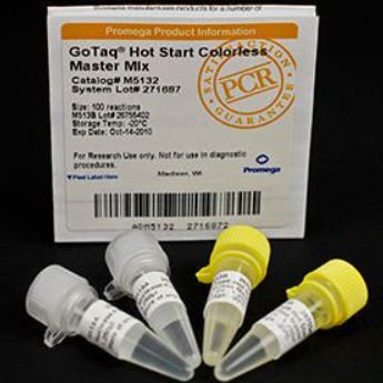 VWR PAM5132 GoTaq Hot Start Colorless Master Mix, Promega 100 reactions