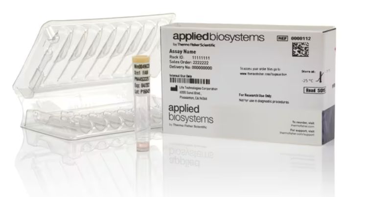 TaqMan Gene Expression Assays (FAM) CLB2 -  XS 75 runs - 4448892 Assay - ID:Sc04174752_s1 made to order