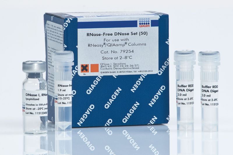 79254 RNase-Free DNase SET (50)