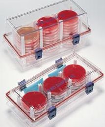 BD GasPak™ EZ Container Systems, BD Diagnostics, Multi-use Sachets with Indicator, Pack of 20 - 260001/89024-790