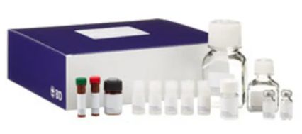 BDB551811 - BD CBA Human Inflammatory Cytokine Kit