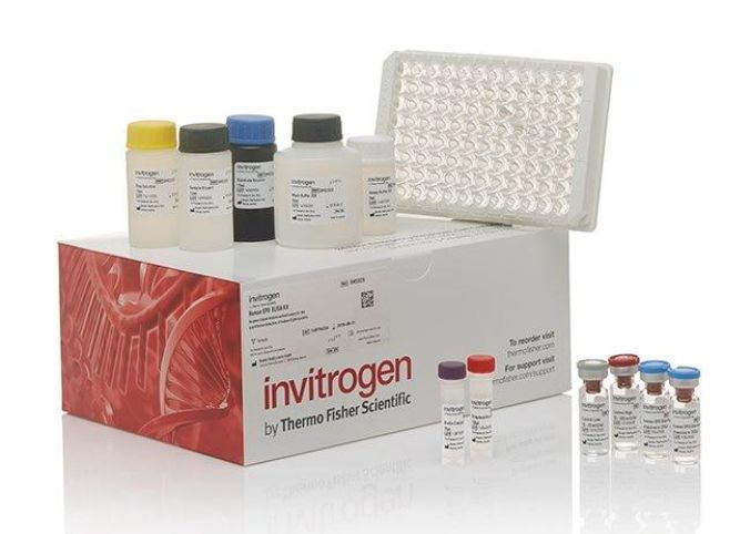 DNA Damage Competitive ELISA Kit - EIADNAD