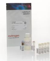 Qubit™ RNA High Sensitivity (HS), Broad Range (BR), and Extended Range (XR) Assay Kits, RNA Quantification, High Sensitivity - 100 reactions - Q32852