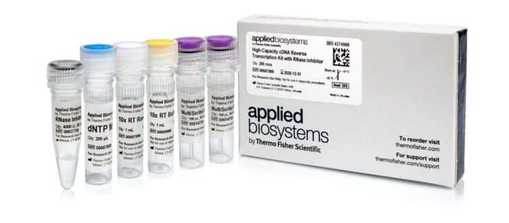 High-Capacity cDNA Reverse Transcription Kit with RNase Inhibitor