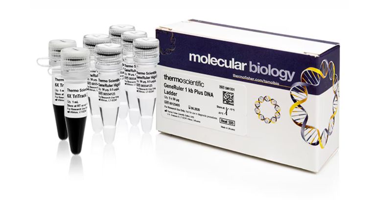 GeneRuler 1 kb Plus DNA Ladder - SM1331 - 5x50ug
