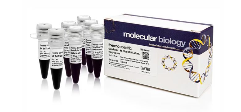 GeneRuler 1 kb Plus DNA Ladder, ready-to-use -5x50ug -  SM1333