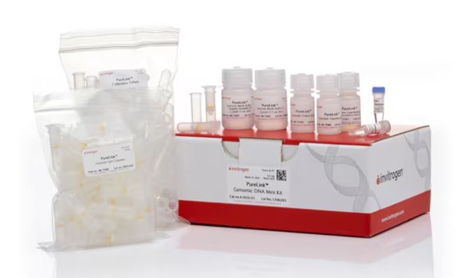 PureLink™ Genomic DNA Mini Kit Catalog - 50preps - - K182001