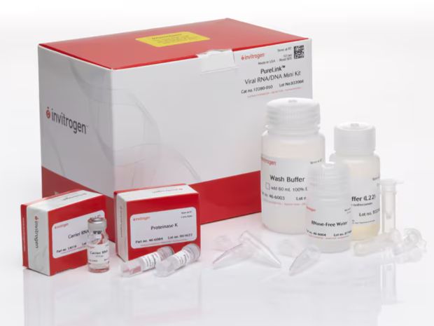 PureLink™ Viral RNA/DNA Mini Kit  - 50 preps- 12280050